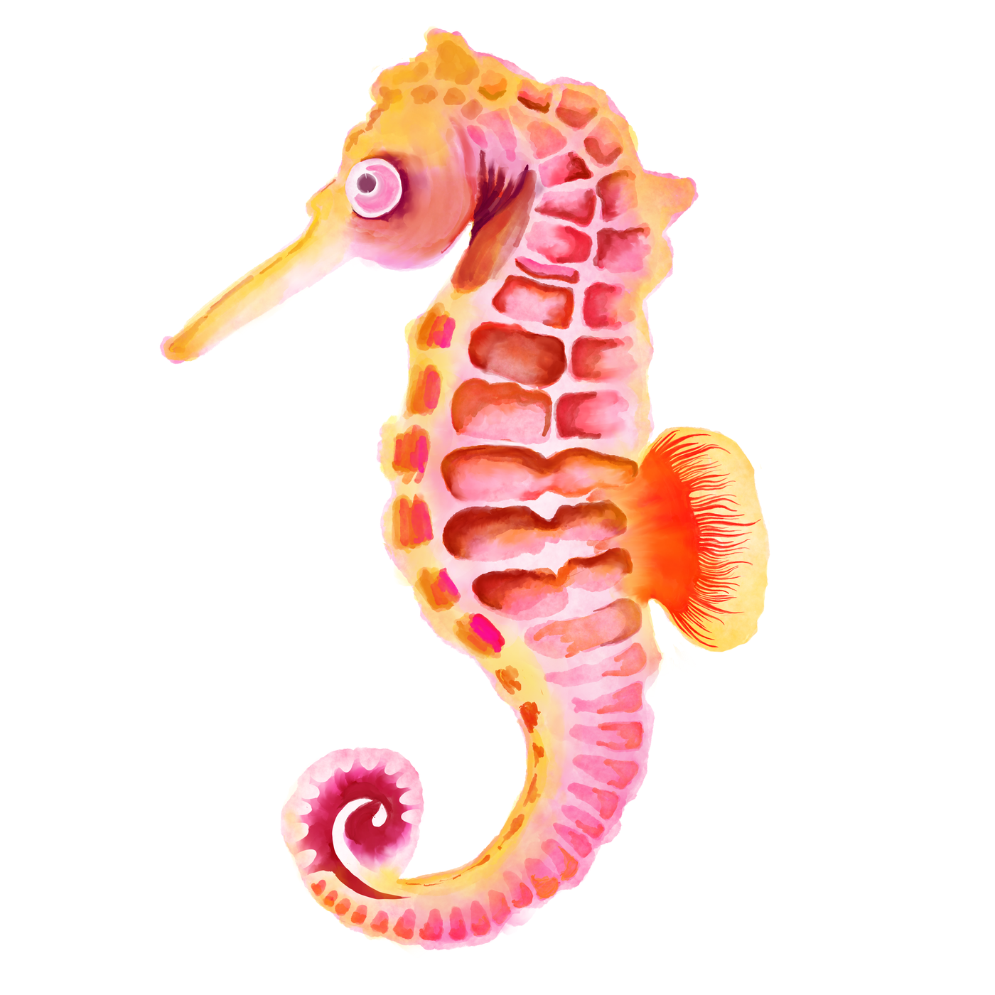 Hand-drawn seahorse sticker